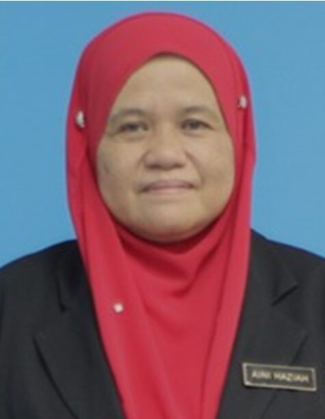 Aini Haziah Amirullah